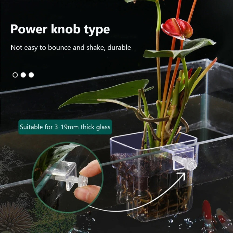 Aquarium Hanging Planter Cups  - Aquarium Planted Wall บทวิจารณ์และราคา