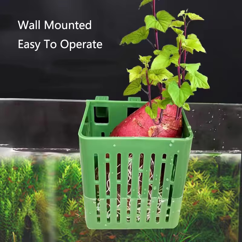 Fish Tank Water Grass Cup Aqua - Aquarium Planted Wall บทวิจารณ์และราคา