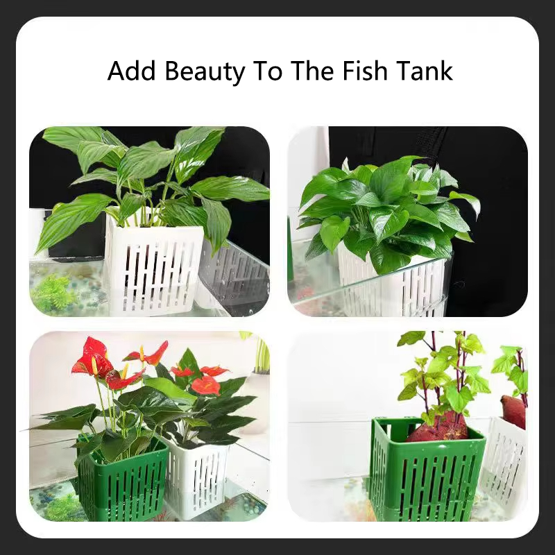 Fish Tank Water Grass Cup Aqua - Aquarium Planted Wall บทวิจารณ์และราคา