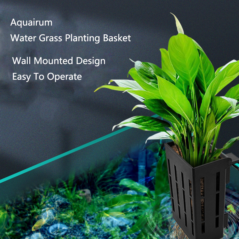 Plastic Aquarium Planting Bask - Aquarium Planted Wall บทวิจารณ์และราคา