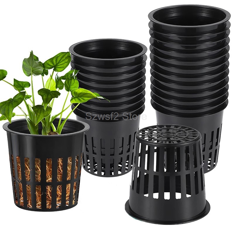 10pcs Hydroponic Mesh Pot Vege - Aquarium Plant Nursery บทวิจารณ์และราคา