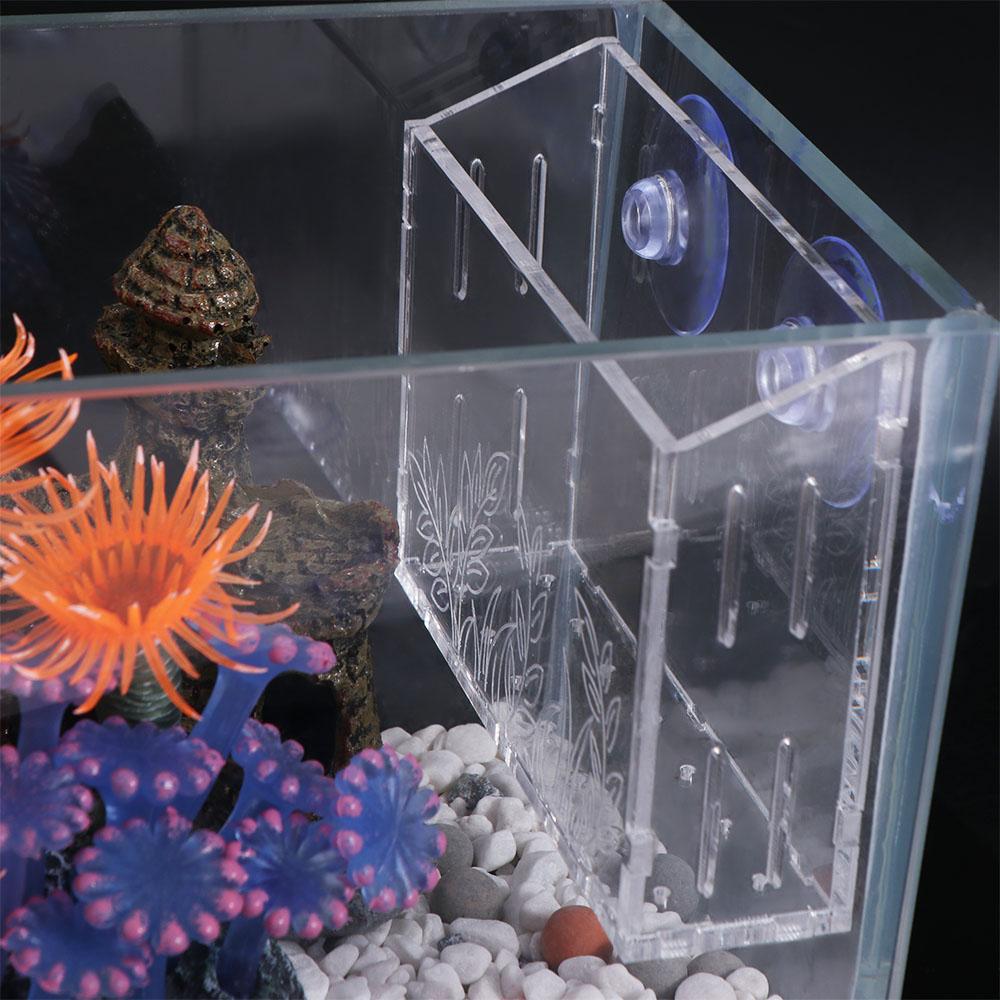 Wall Hanging Aquarium Plants C - Aquarium Planted Wall บทวิจารณ์และราคา