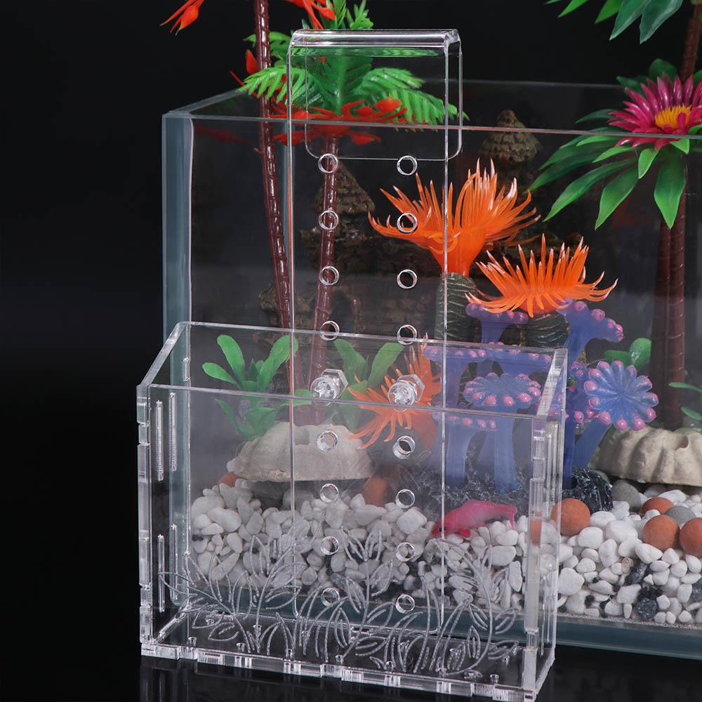 Wall Hanging Aquarium Plants C - Aquarium Planted Wall บทวิจารณ์และราคา