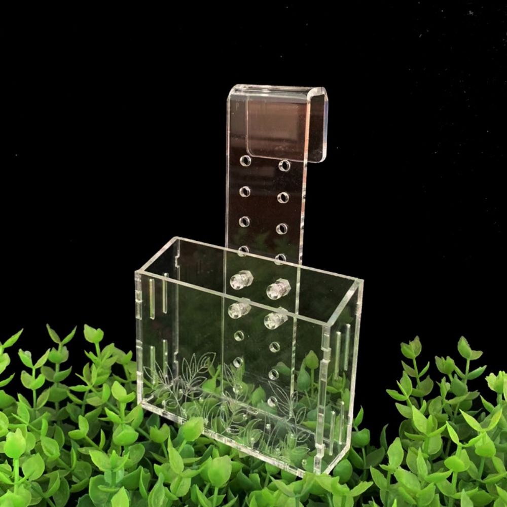 Wall Hanging Aquarium Plants C - Aquarium Planted Wall บทวิจารณ์และราคา