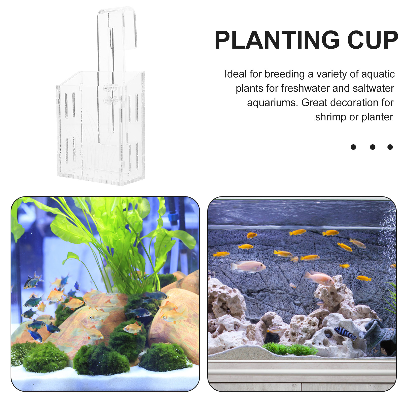 Transparent Water Plant Cup Du - Planted Aquarium Materials บทวิจารณ์และราคา