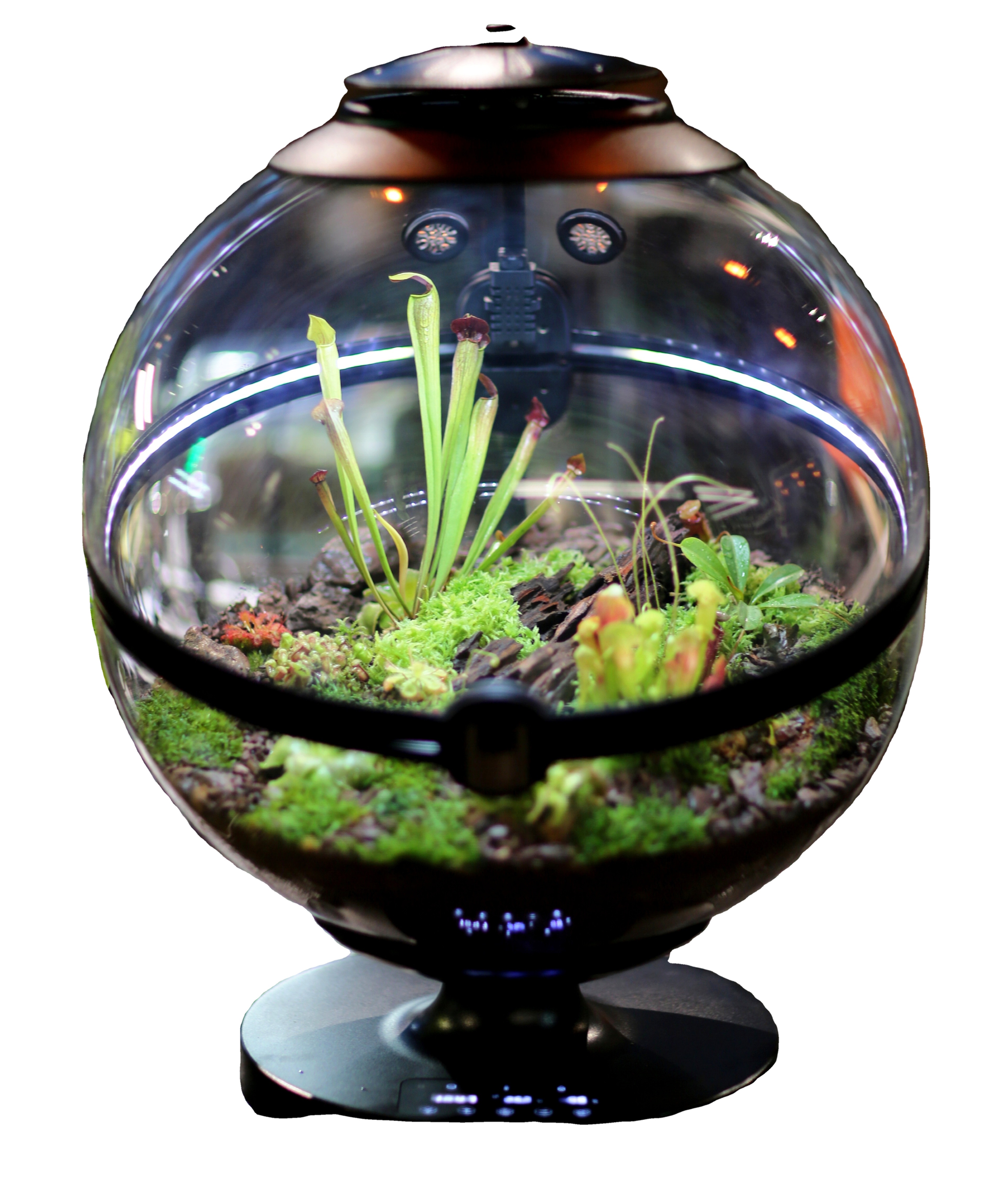 Hot Sales Acrylic Material  Ba - Planted Aquarium Materials บทวิจารณ์และราคา
