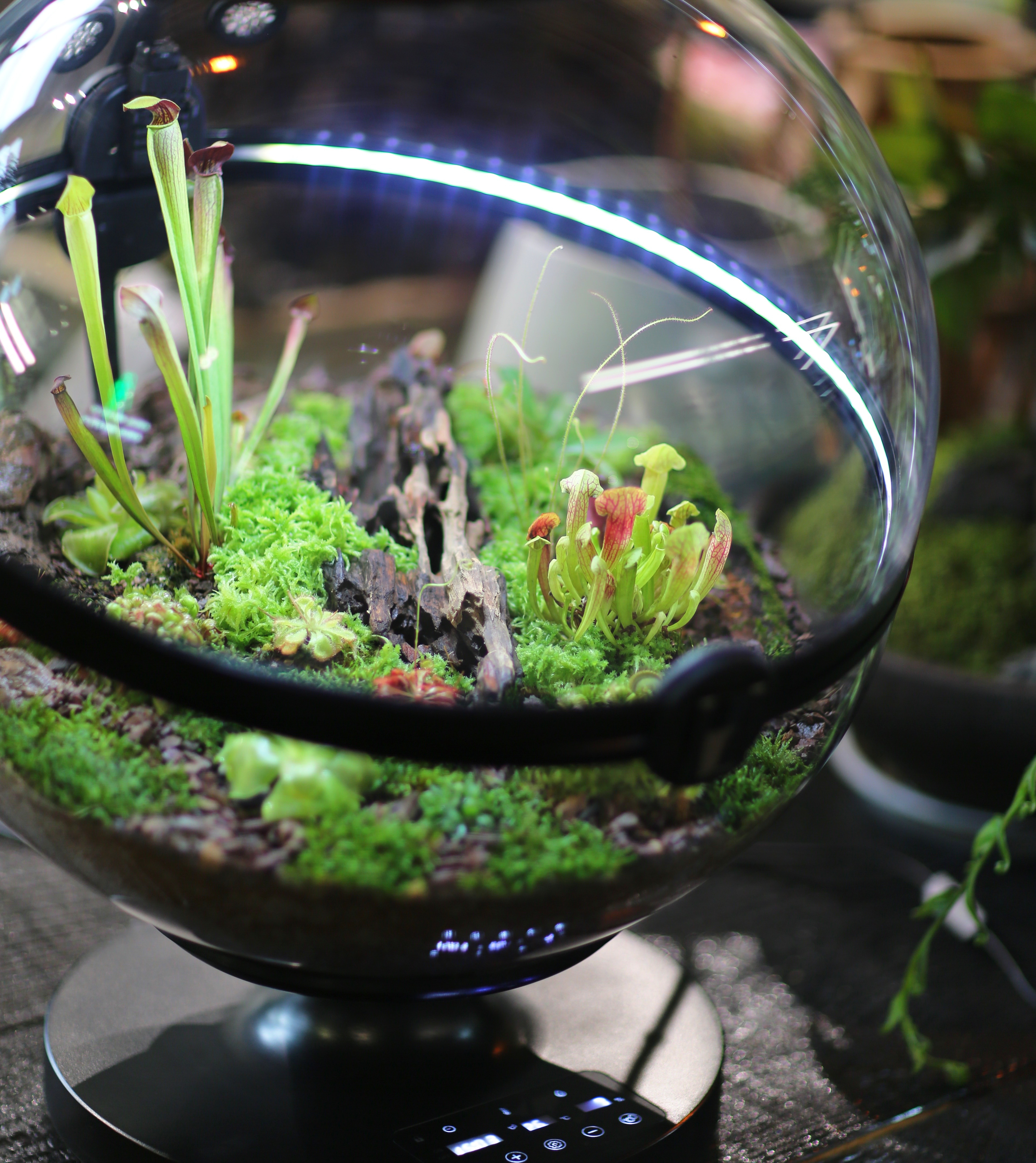 Hot Sales Acrylic Material  Ba - Planted Aquarium Materials บทวิจารณ์และราคา