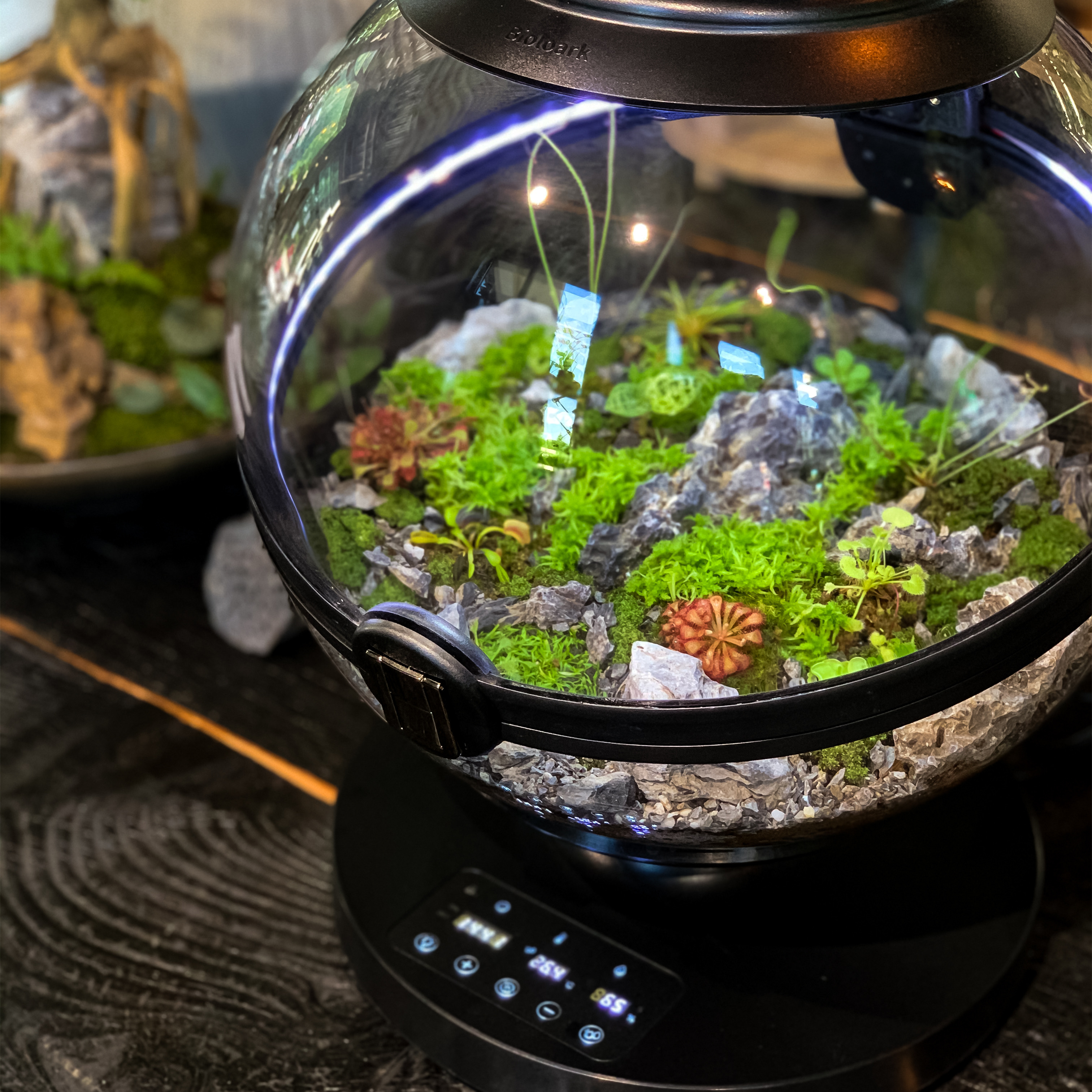 Hot Sales Acrylic Material  Ba - Planted Aquarium Materials บทวิจารณ์และราคา