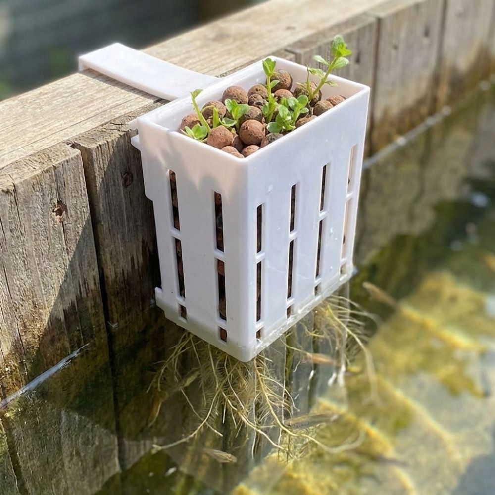Wall-Mounted Aquarium Plant Ba - Aquarium Planted Wall บทวิจารณ์และราคา