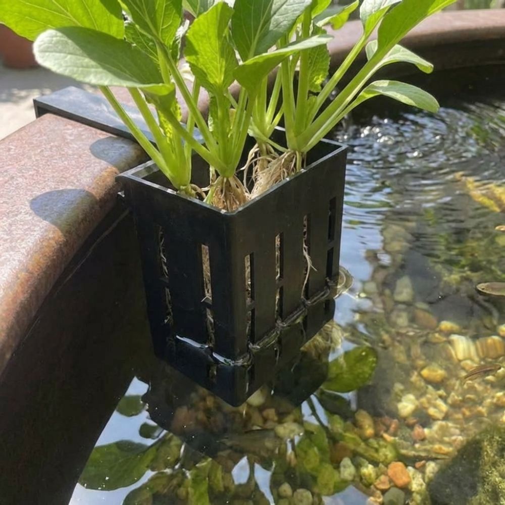 Wall-Mounted Aquarium Plant Ba - Aquarium Planted Wall บทวิจารณ์และราคา