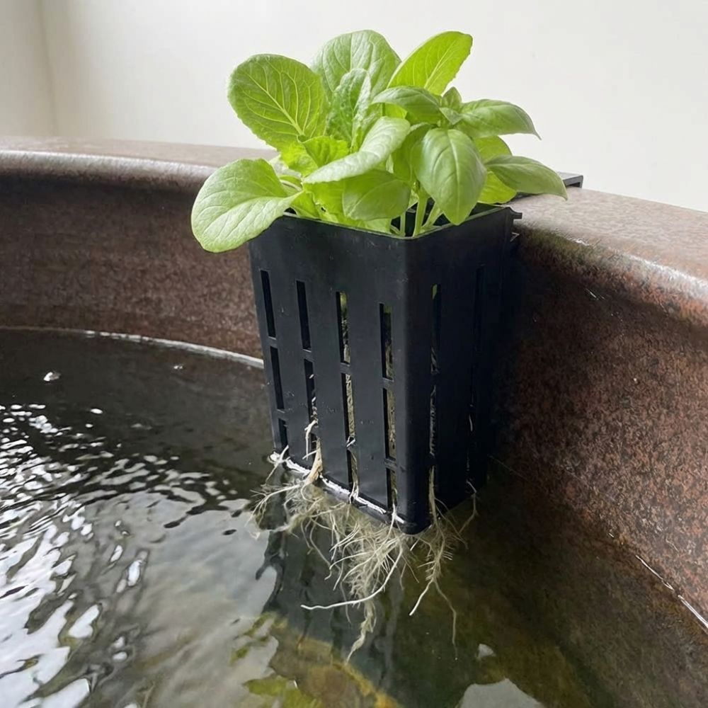 Wall-Mounted Aquarium Plant Ba - Aquarium Planted Wall บทวิจารณ์และราคา
