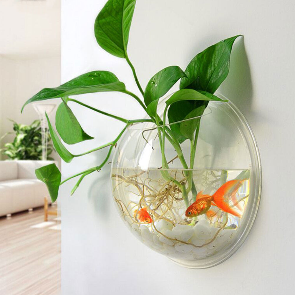 Wall Mounted Fish Bowl Acrylic - Aquarium Planted Wall บทวิจารณ์และราคา