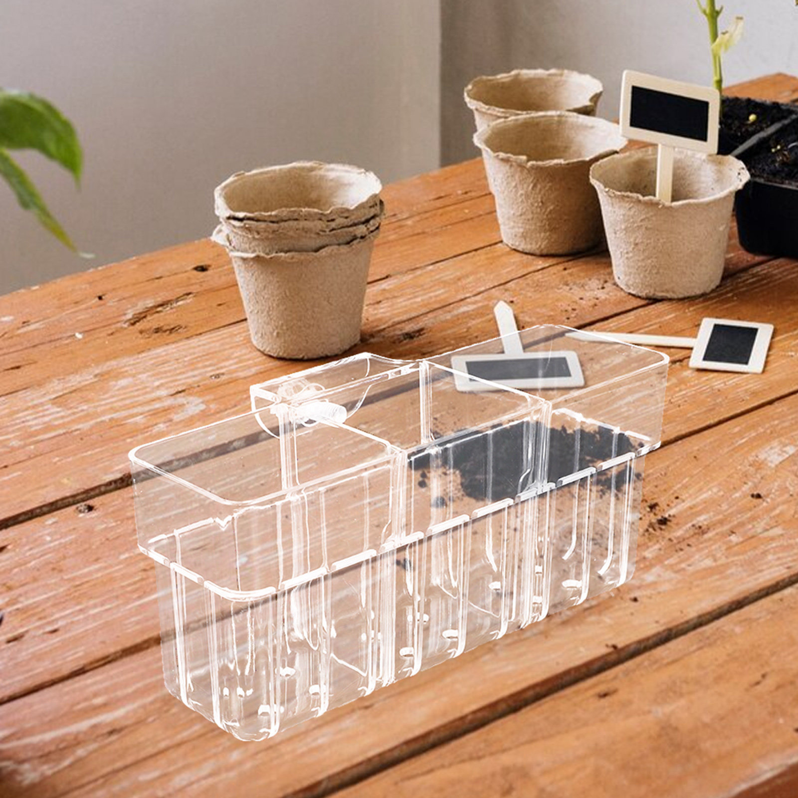 Three Compartment Transparent  - Aquarium Plant Nursery บทวิจารณ์และราคา