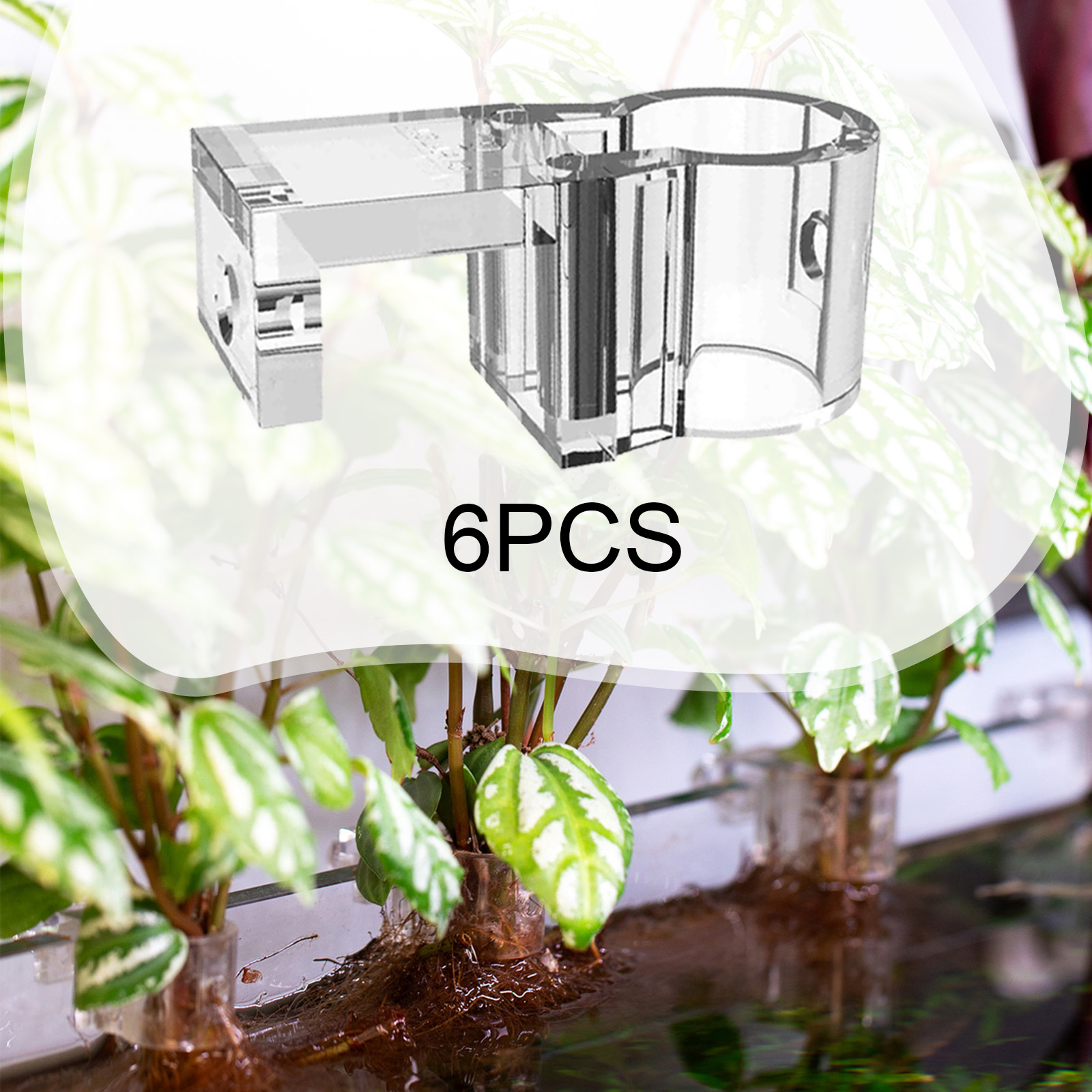 6Pcs Aquarium Plant Holder Sup - Aquarium Plant Nursery บทวิจารณ์และราคา