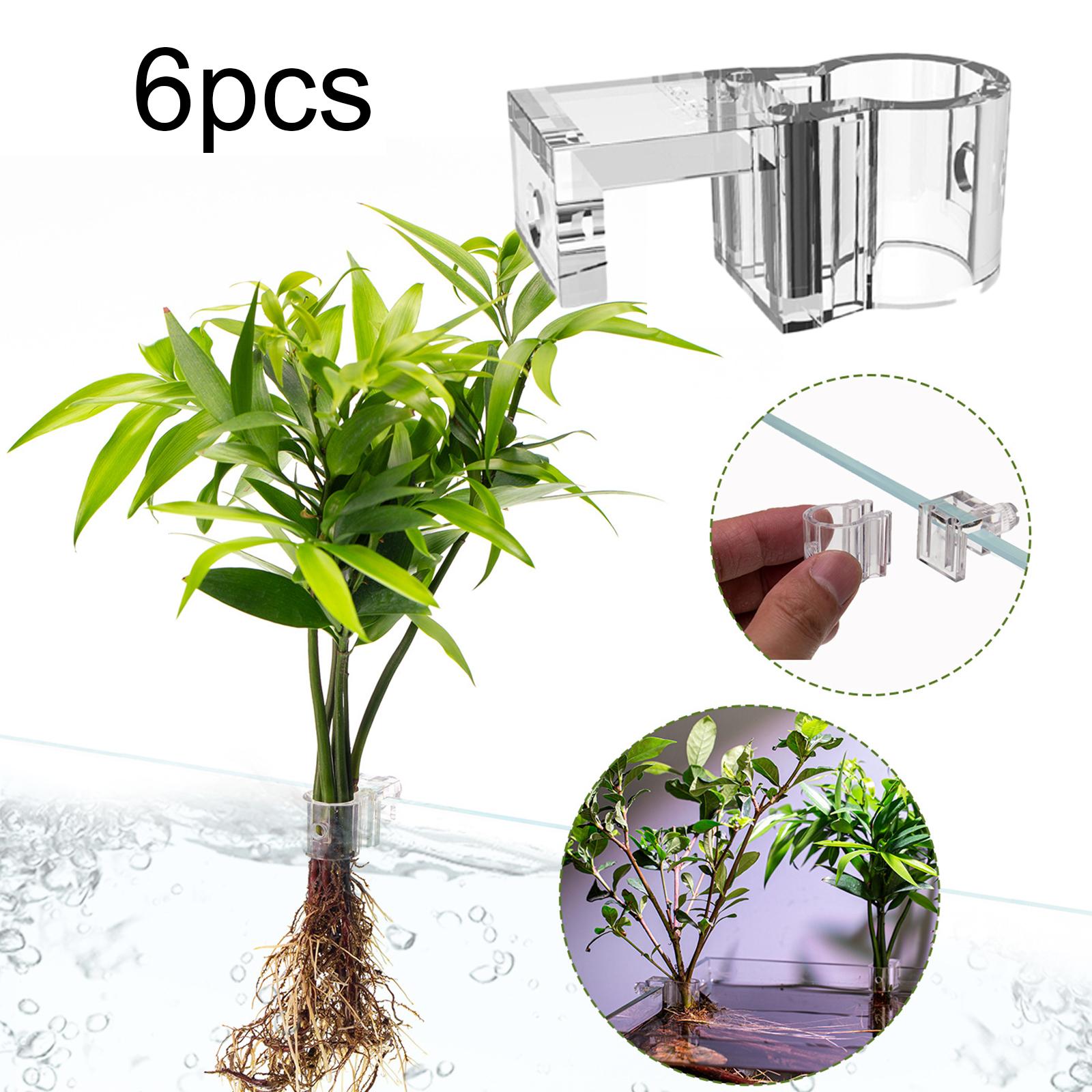 6Pcs Aquarium Plant Holder Sup - Aquarium Plant Nursery บทวิจารณ์และราคา