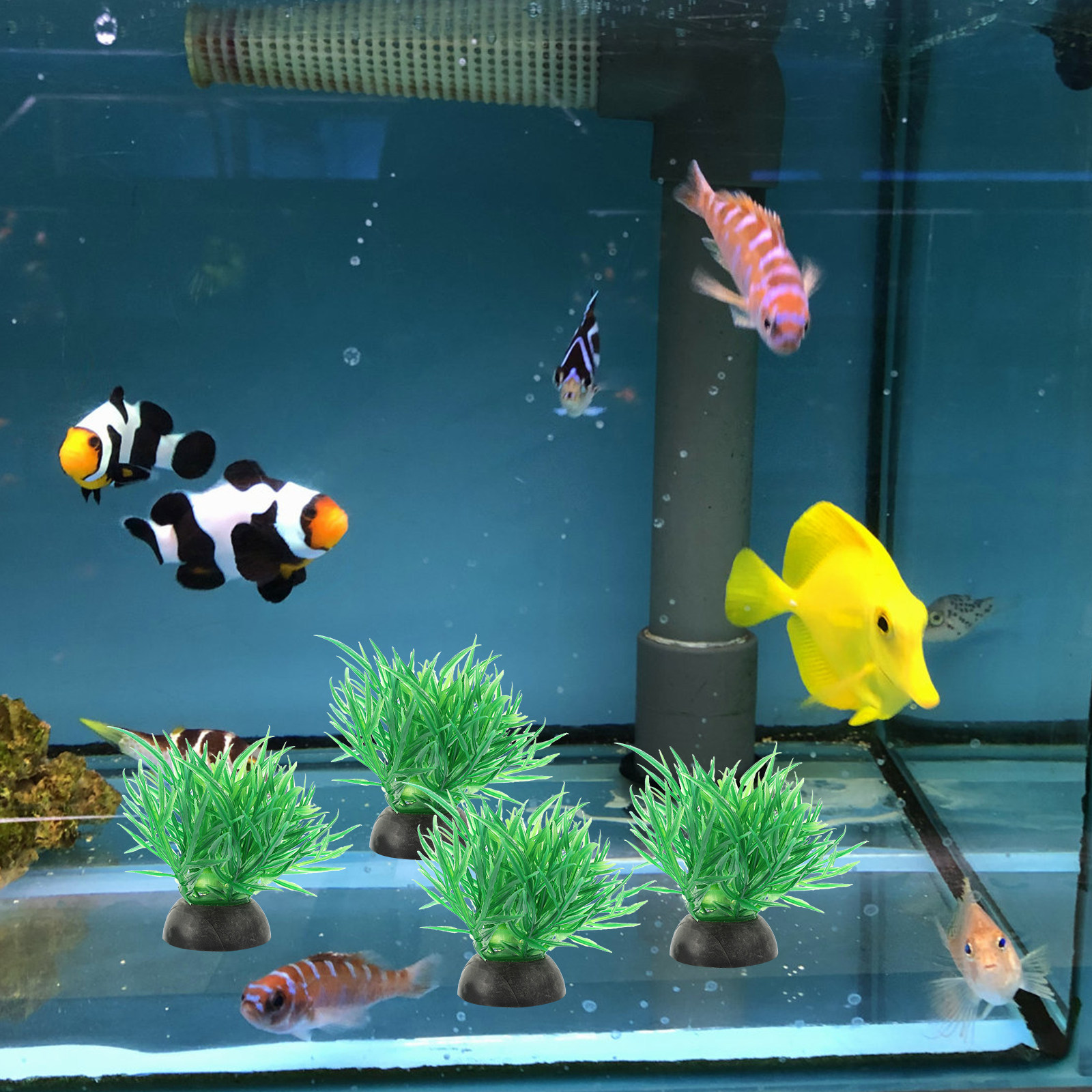 20Pcs Tall Plastic Aquarium Pl - Planted Aquarium Models บทวิจารณ์และราคา