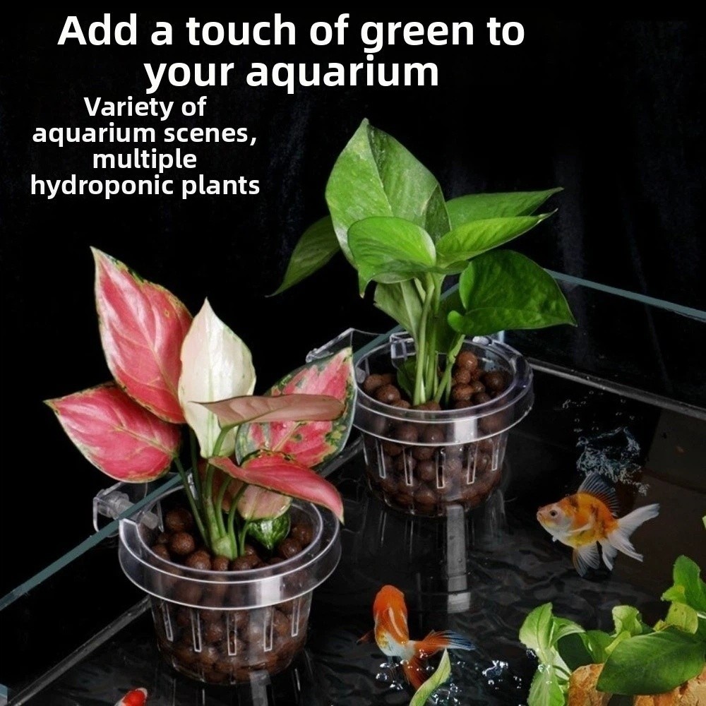 Transparent Fish Tank Grass Cu - Aquarium Planted Wall บทวิจารณ์และราคา