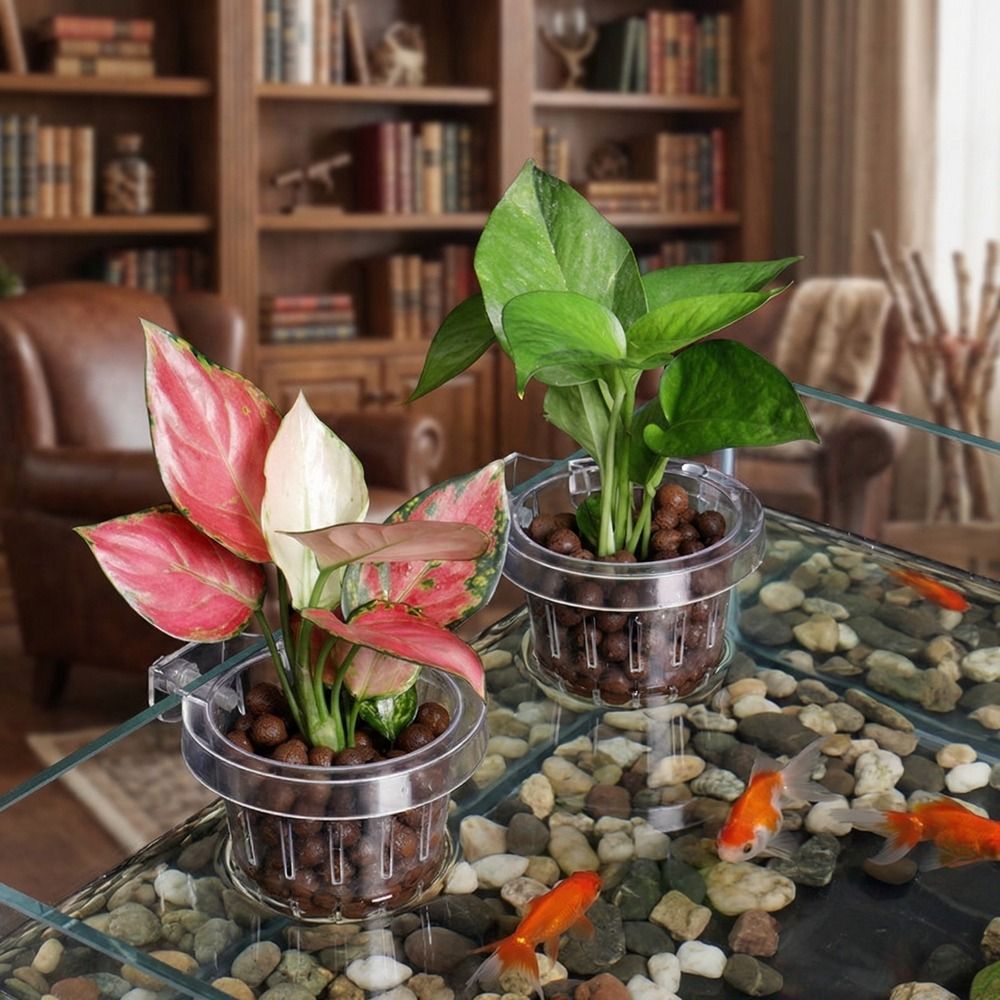 Transparent Fish Tank Grass Cu - Aquarium Planted Wall บทวิจารณ์และราคา