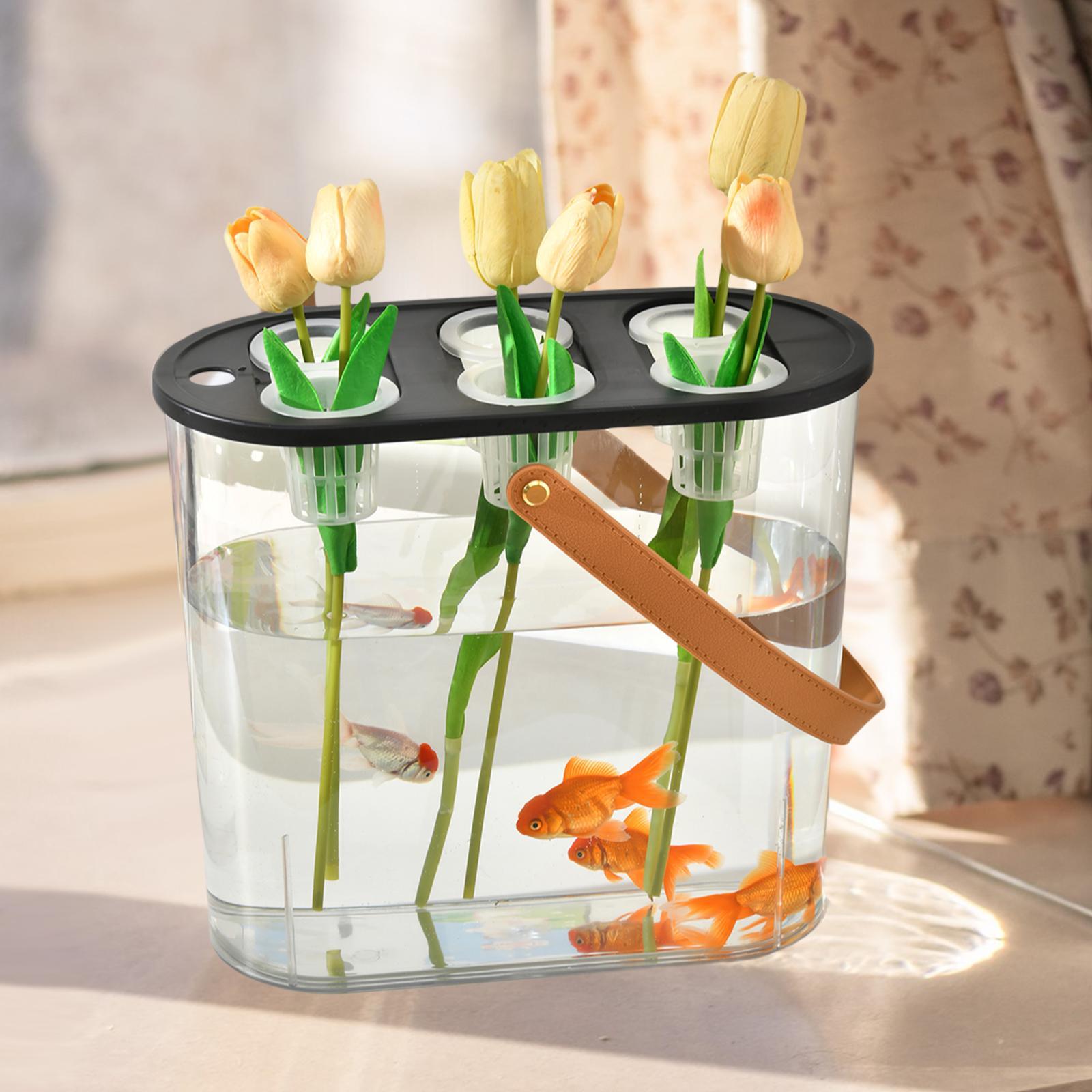 Hydroponic Planting Box 6 Hole - Aquarium Plant Nursery บทวิจารณ์และราคา