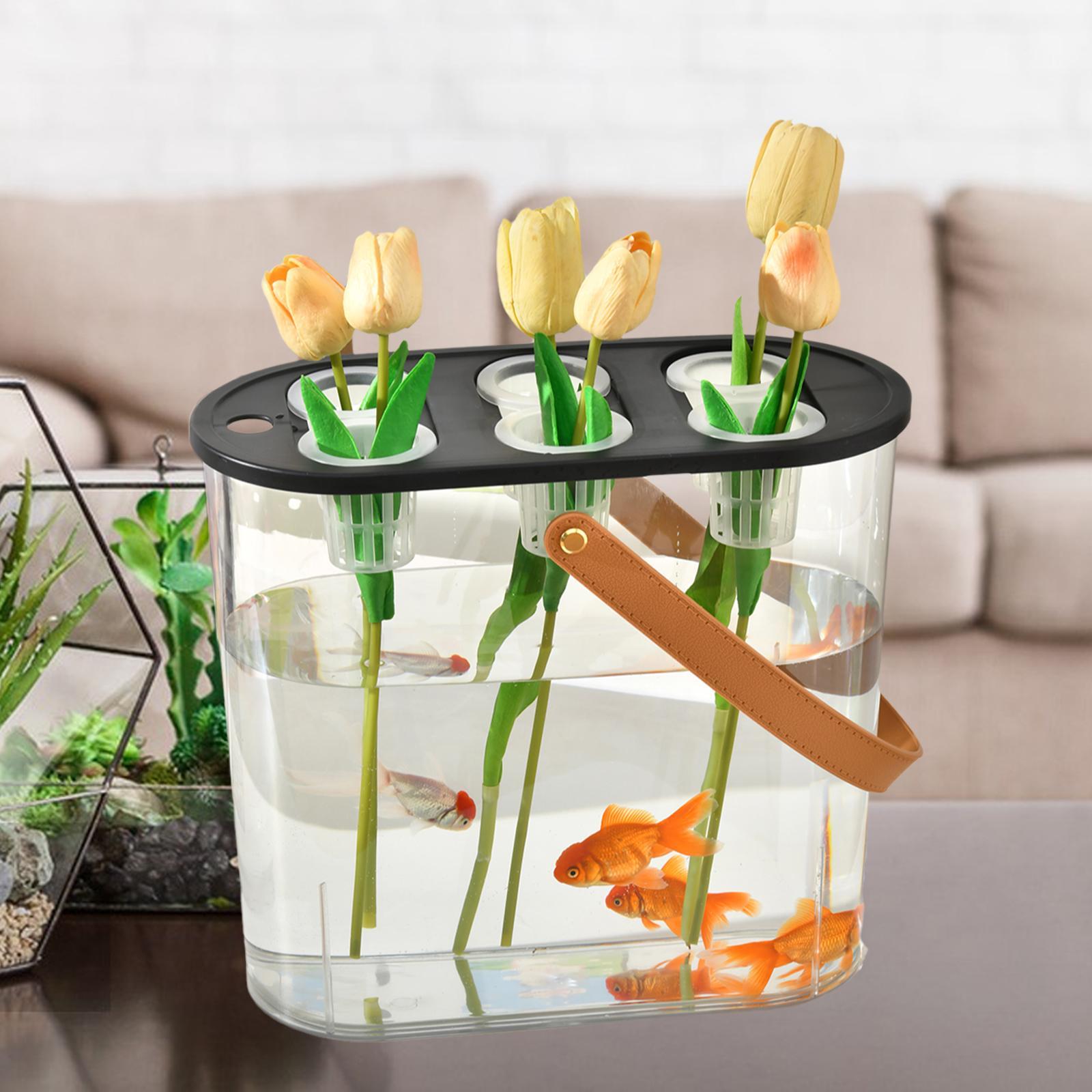 Hydroponic Planting Box 6 Hole - Aquarium Plant Nursery บทวิจารณ์และราคา