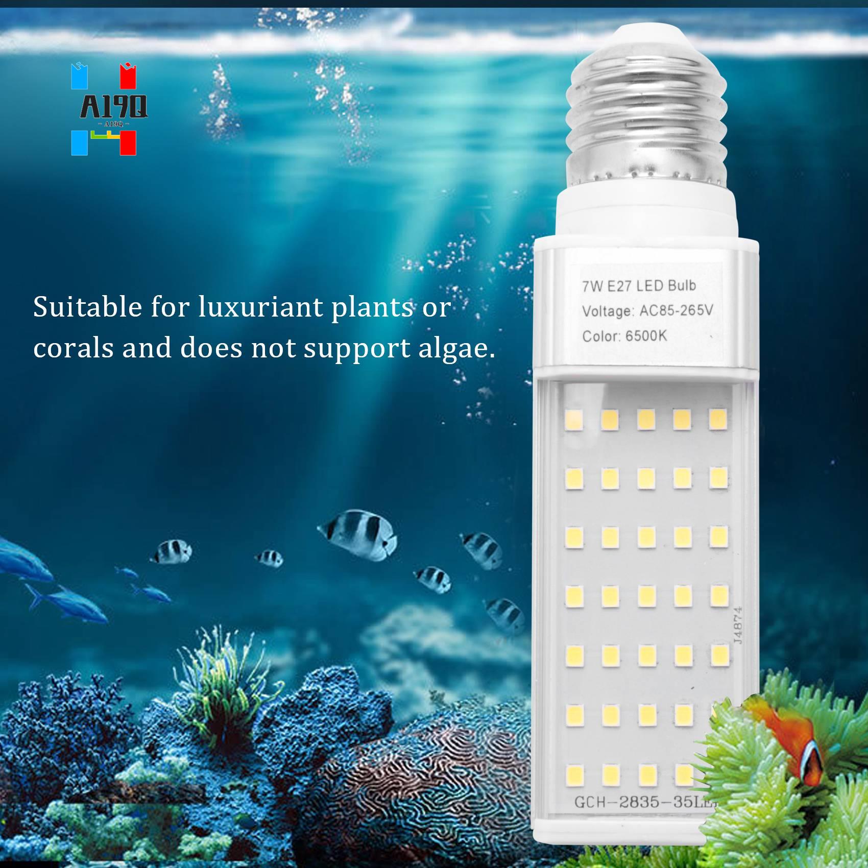 A19Q-Fishpod White Plant Aquar - Planted Aquarium Materials บทวิจารณ์และราคา