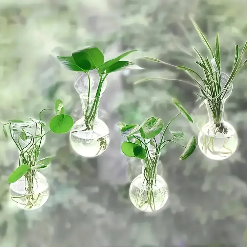 Creative Semi Circular Class W - Aquarium Planted Wall บทวิจารณ์และราคา