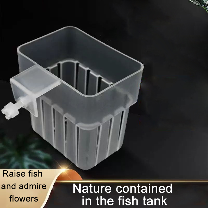 Aquarium Transparent Hydroponi - Aquarium Planted Wall บทวิจารณ์และราคา