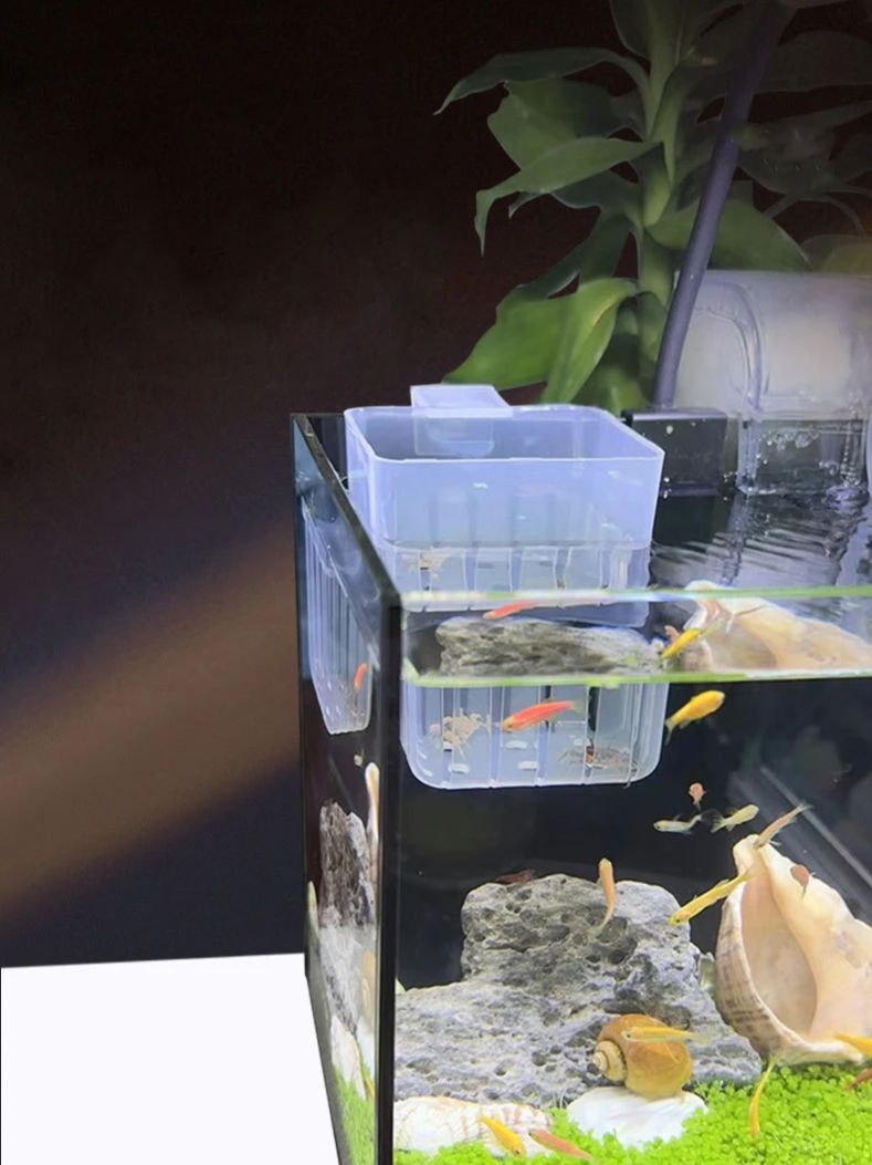 Aquarium Transparent Hydroponi - Aquarium Planted Wall บทวิจารณ์และราคา