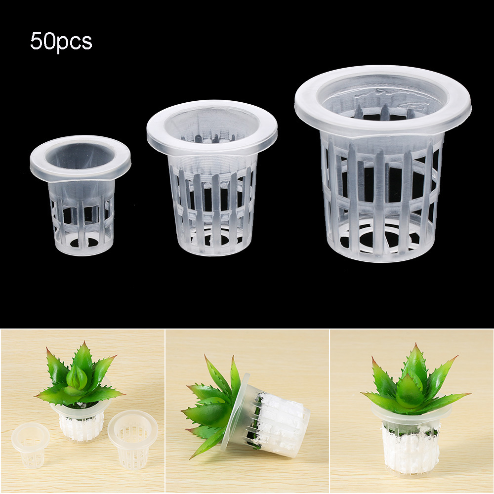 10/50pcs Garden Supplies Aquar - Aquarium Plant Nursery บทวิจารณ์และราคา