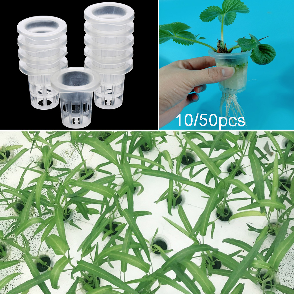 10/50pcs Garden Supplies Aquar - Aquarium Plant Nursery บทวิจารณ์และราคา