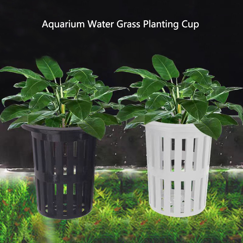 1/3Pcs Aquarium Plant Basket W - Aquarium Planted Wall บทวิจารณ์และราคา