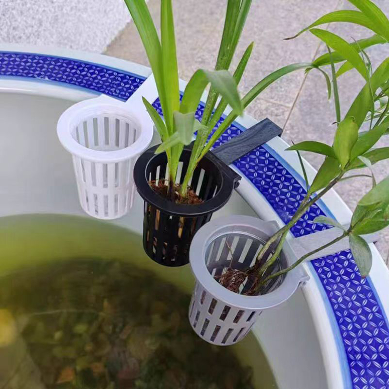 1/3Pcs Aquarium Plant Basket W - Aquarium Planted Wall บทวิจารณ์และราคา