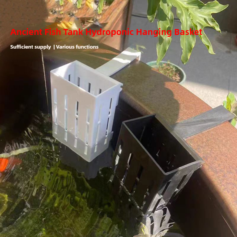 1/3Pcs Aquarium Plant Basket W - Aquarium Planted Wall บทวิจารณ์และราคา