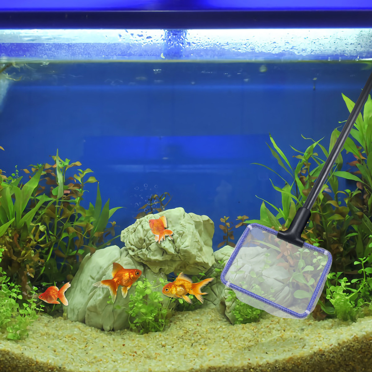 5-in-1 Aquarium Cleaning Kit w - Planted Aquarium Cleaning Kit บทวิจารณ์และราคา