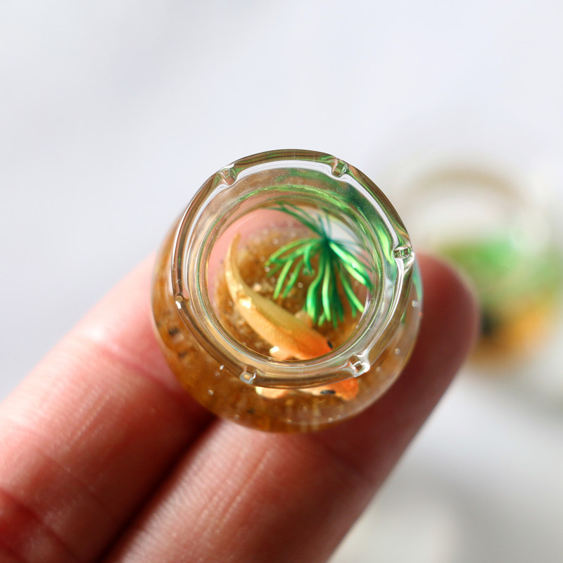 1Pc 1:12 Mini DollHouse Simula - Planted Aquarium Models บทวิจารณ์และราคา