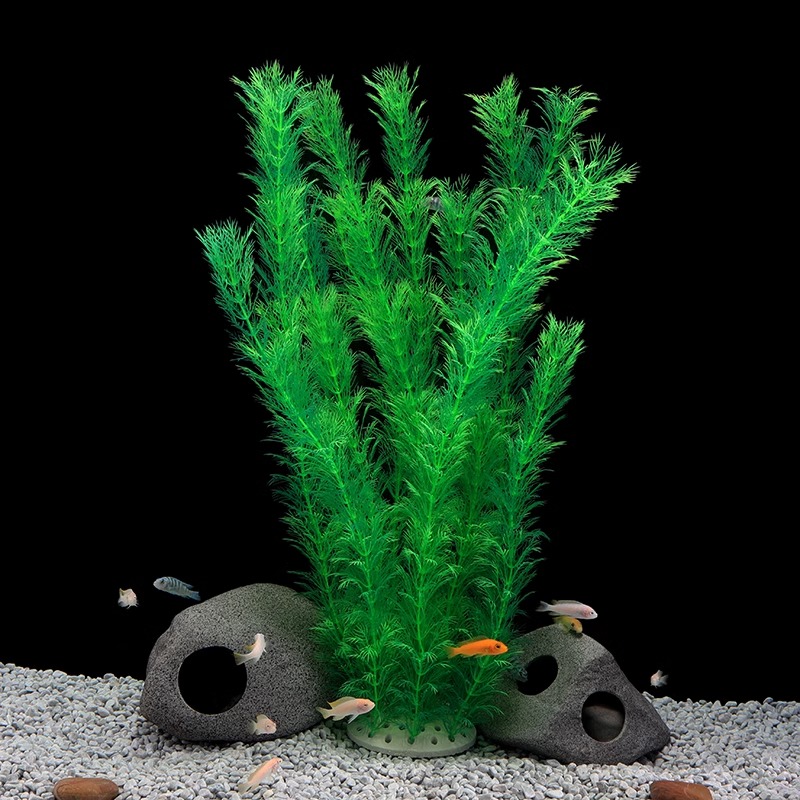 Ilan High Model Large Water Gr - Planted Aquarium Models บทวิจารณ์และราคา
