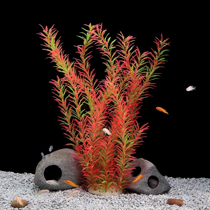 Ilan High Model Large Water Gr - Planted Aquarium Models บทวิจารณ์และราคา