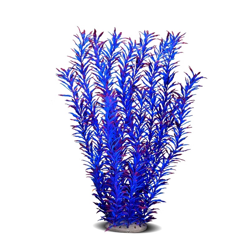 Ilan High Model Large Water Gr - Planted Aquarium Models บทวิจารณ์และราคา