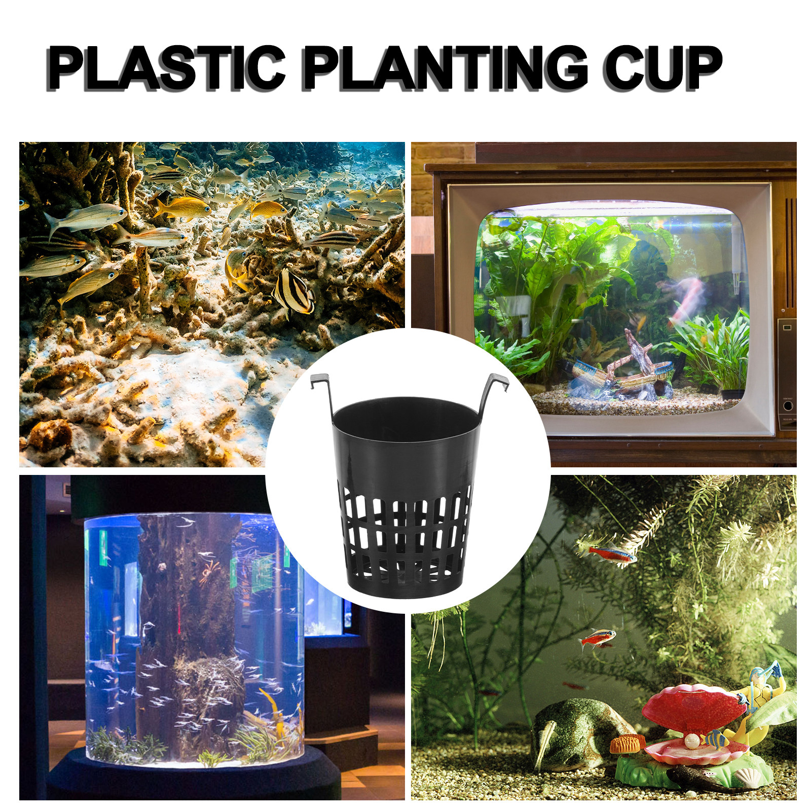 6Pcs Water Plant Cup Hydroponi - Aquarium Plant Nursery บทวิจารณ์และราคา