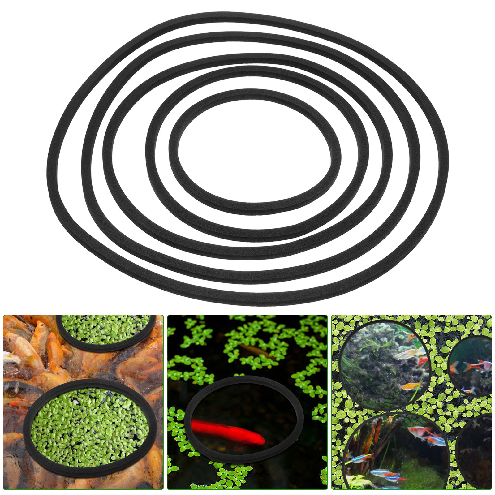5Pcs Aquarium Floating Plant R - Planted Aquarium Materials บทวิจารณ์และราคา