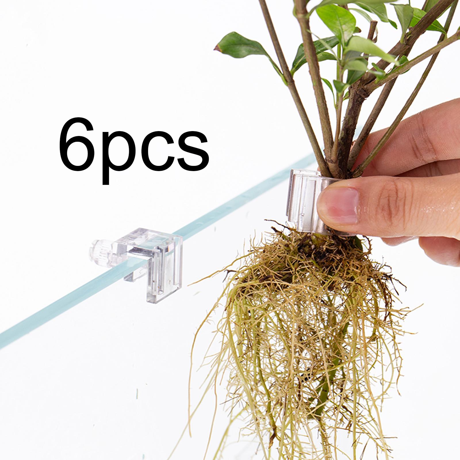 Durable Transparent Plant Hold - Aquarium Planted Wall บทวิจารณ์และราคา