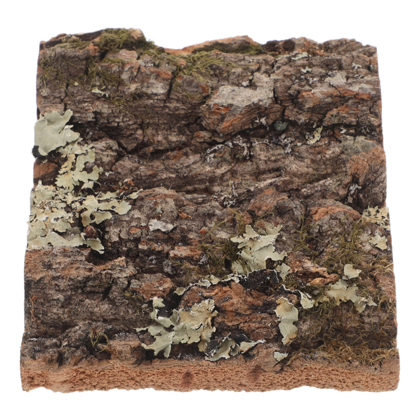Cork Bark Tree Bark Color Terr - Aquarium Planted Wall บทวิจารณ์และราคา