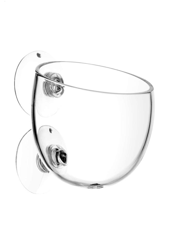 Aquarium Plant Holder Glass Aq - Aquarium Plant Nursery บทวิจารณ์และราคา