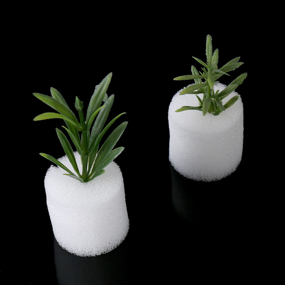 10/50pcs Durable Planting Aqua - Aquarium Plant Nursery บทวิจารณ์และราคา