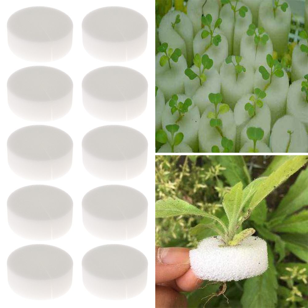 10/50pcs Durable Planting Aqua - Aquarium Plant Nursery บทวิจารณ์และราคา