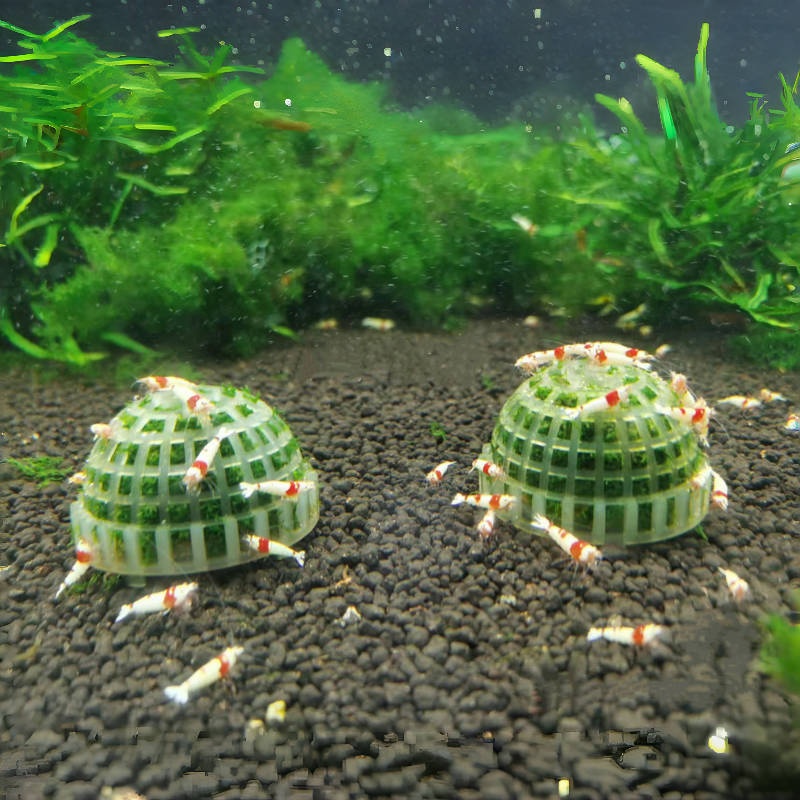 1pc Aquarium Moss Ball Holder, - Planted Aquarium Models บทวิจารณ์และราคา