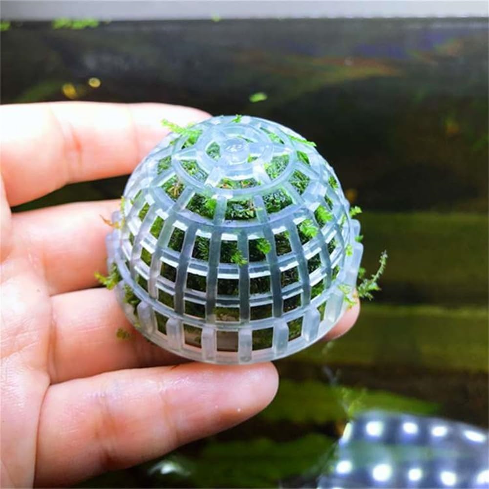 1pc Aquarium Moss Ball Holder, - Planted Aquarium Models บทวิจารณ์และราคา