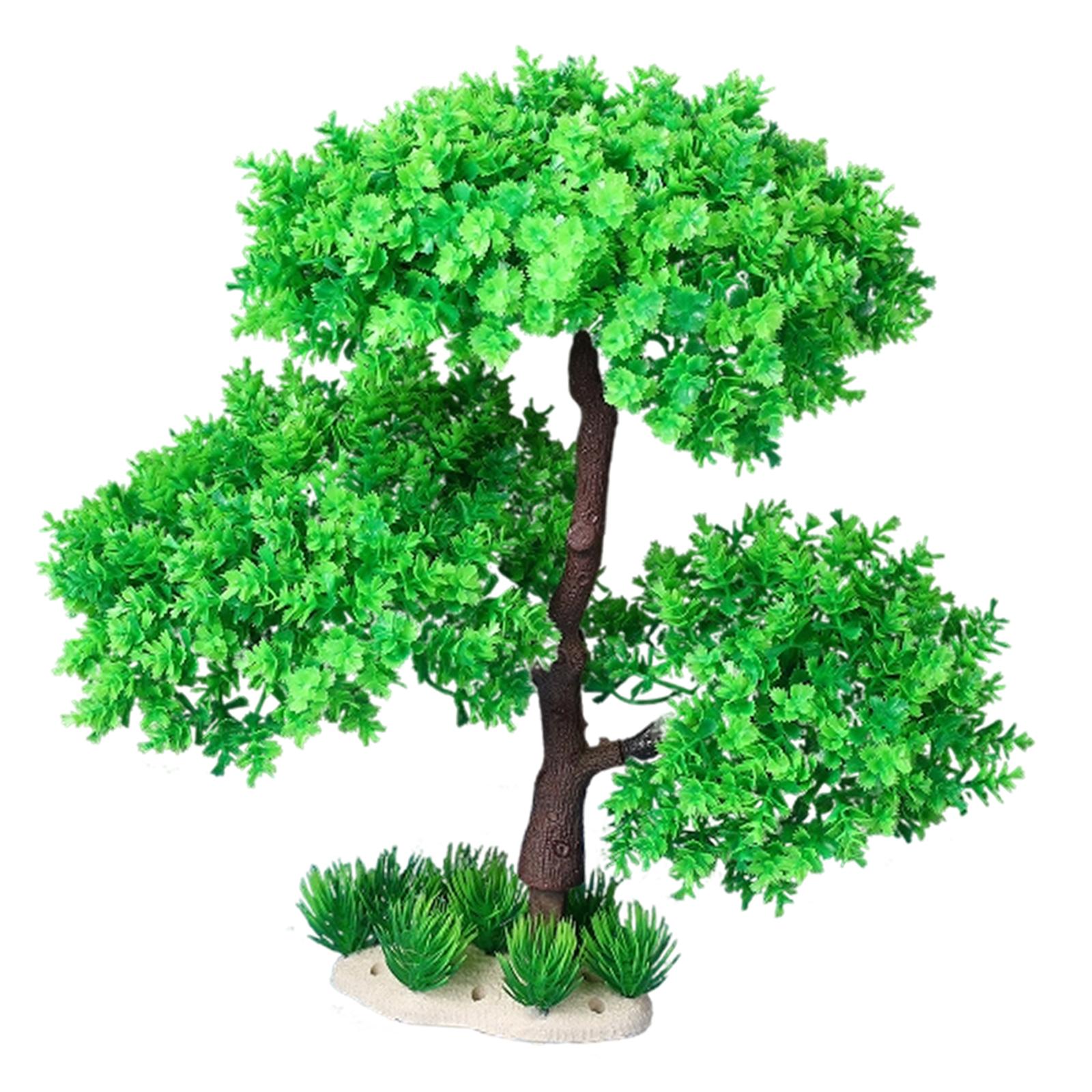 Aquarium Plants for Freshwater - Planted Aquarium Models บทวิจารณ์และราคา
