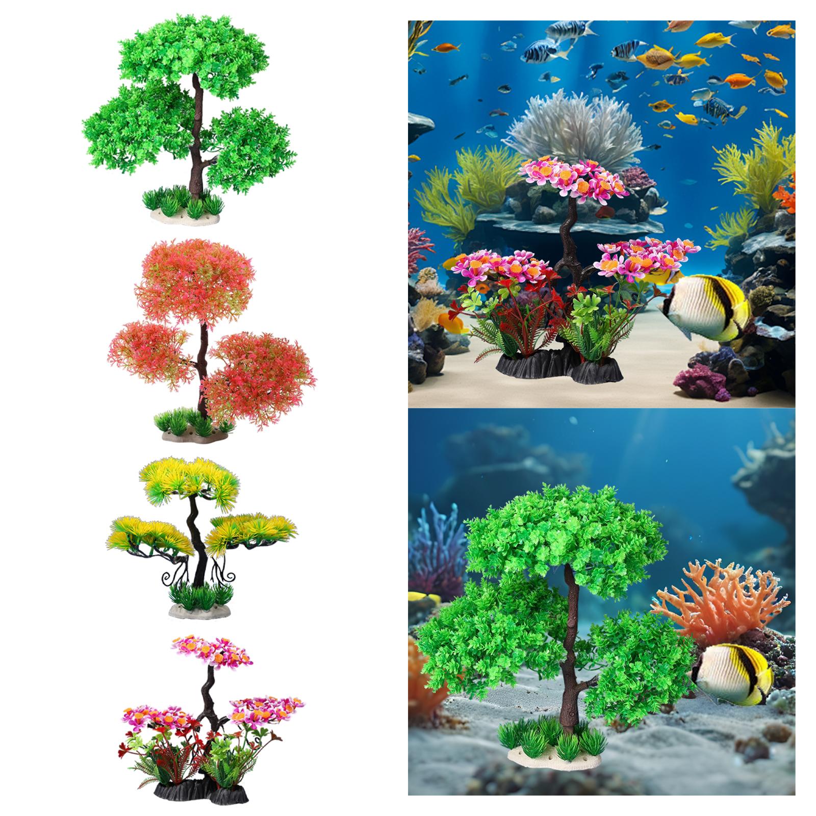 Aquarium Plants for Freshwater - Planted Aquarium Models บทวิจารณ์และราคา