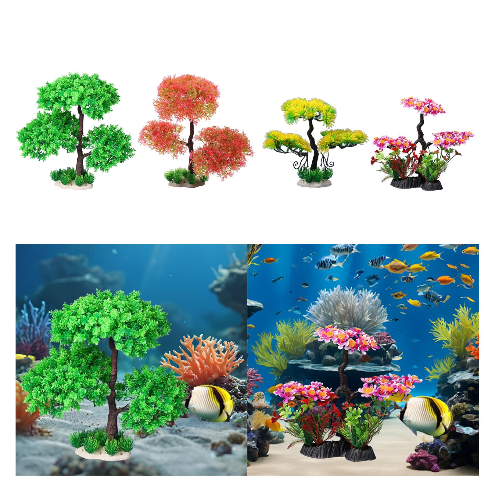 Aquarium Plants for Freshwater - Planted Aquarium Models บทวิจารณ์และราคา